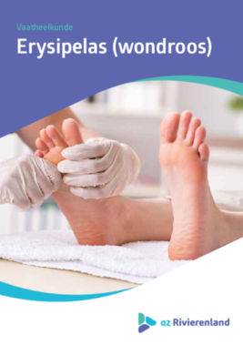 Erysipelas (wondroos)